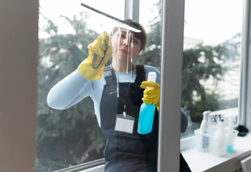 Nettoyage de vitres intérieures et extérieures à Saint-Jean-le-Vieux